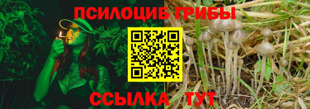 Галлюциногенные грибы мухоморы Майский